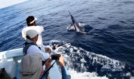 Рыболовный тур в Коста-Рику Рыболовный тур в Коста-Рику